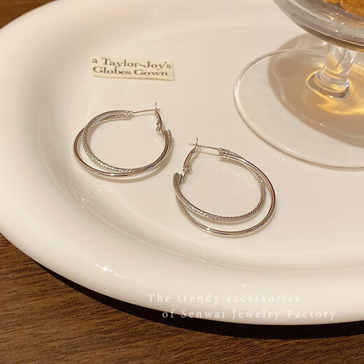 Simple cold style double hoop earrings for women 2025 new trendy earrings temperament high-end atmospheric earrings earrings silver double layer hoop earrings one pair