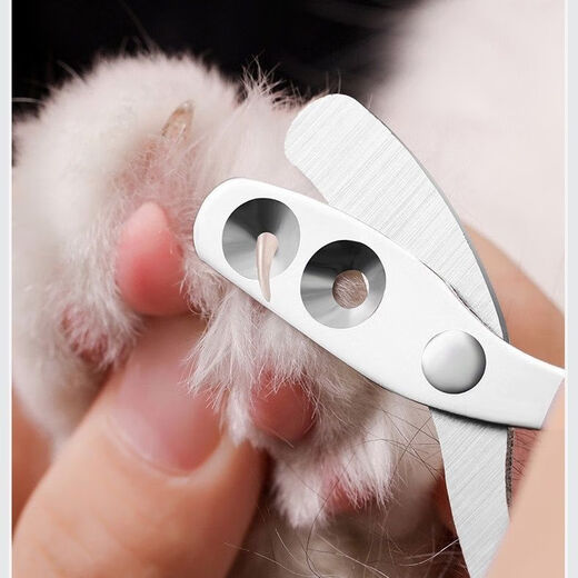 Cat nail clipper round hole small blind scissors cat nail clipper artifact pet nail clipper nail clipper with cat paw scissors double hole knife丨anti-blood line丨double hole design