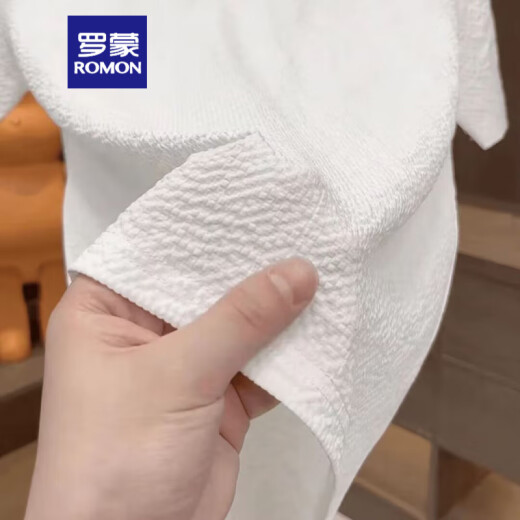罗蒙（ROMON）2025新款男士短袖T恤夏季轻奢百搭圆领凉感高品质潮流半袖冰丝衫 1105白色 轻奢质感 4XL 175-190斤