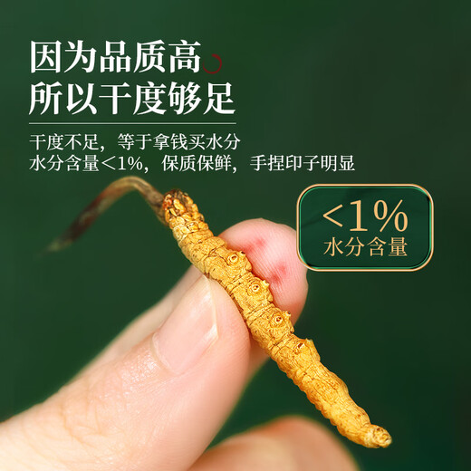 半山农 冬虫夏草断草5克 送父母长辈老人滋补营养品过节礼品滋补营养品