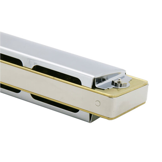 Tongbao harmonica officiel 6624S Symboles de repos et grille de cuivre en métal électroplatée adulte à 24 trous polyphonique harmonica bnm