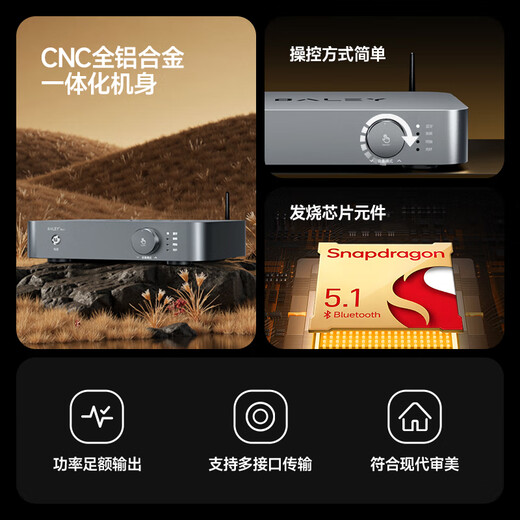 八雷(BALEY) J6发烧级家用客厅吊顶音箱hifi指向吸顶音响嵌入式功放2.1/5.1环绕家庭影院套装背景音乐 13【G6.1功放+J6×6+S8】影音大师