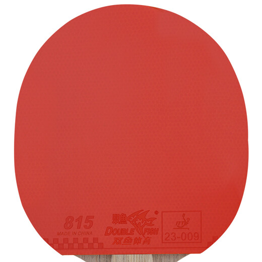 Pisces table tennis racket double racket set pendulum horizontal racket 6D six-star table tennis racket table tennis racket 2 pieces with 6 balls