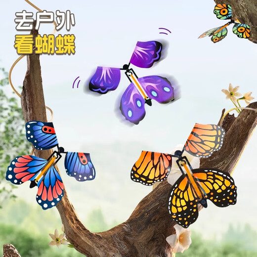 The butterfly that can fly with the children's outdoor toys, flower spray gift box, fly away, bamboo dragonfly, spring outing, must-have artifact for spring outings in the park. The butterfly that can fly [10 packages] (Random color)