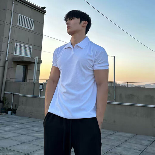 夏季透气短袖新中式亨利领polo衫大翻领收袖口运动健身男士T恤 黑色亨利领 7706-TXS L