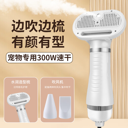 Pet hair drying tool, hair drying comb, dog hair drying machine, integrated hair dryer, Teddy hair drying comb, beauty special, elegant silver (spray hair drying comb)