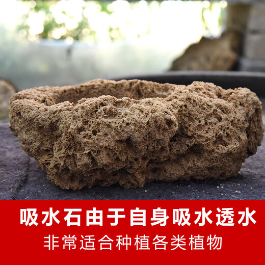 Stone flowerpot absorbent stone water stone original stone natural flowerpot with asparagus bamboo calamus succulent plant micro landscape pot 13-17cm stone pot + tempered rectangular holder