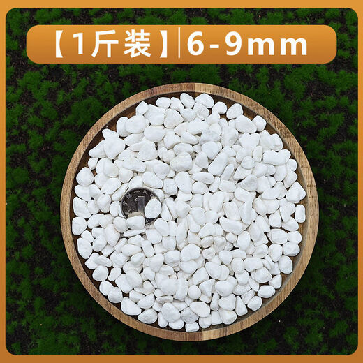 Runhuanian micro landscape white pebbles Yuhua stone succulent plant paving stone fish tank flower pot decoration small stones 1Jin Jin is equal to 0.5 kg (6-9mm) white pebbles