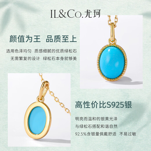 IL&CO Youke Turquoise Necklace Necklace Women's Light Luxury Fashion Chinese Valentine's Day Gift for Girlfriend and Wife