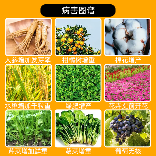 Sanliu 75% gibberellic acid gibberellin seed soaking, germination, seedlings, agricultural materials, plant growth regulator 50g