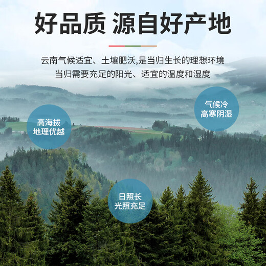 
Tongfu Angelica tablets 100g Yunnan Angelica tablets center slices sulfur-free smoked health tea soup ingredients Chinese medicinal materials