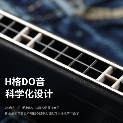 Kongsheng Débutants harmoniques pour les débutants harmoniques introduits à 24 trous polyphoniques c-tunes polyphoniques harmoniques organes adultes anciens