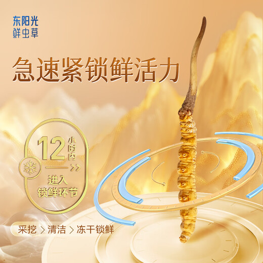 Dongyangguang Cordyceps Sinensis 1-2 корни/G50G Около 75 корней, чтобы питать подарочную коробку Cordyceps пищевые добавки для старейшин
