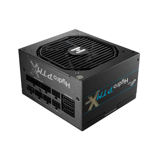 全汉（FSP）Hydro PTM X Pro1000W白金牌全模组电源（ATX3.1/PCl-E12V-2x6/130mm短机身/全压纹线） Hydro PTM X Pro1000W