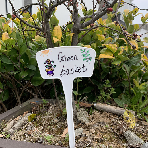 BENXINNONG fan-shaped ground sign gardening flower thickened plastic sign can be written on the sign plant label HXM5 multi-color height 45cm 10 pieces