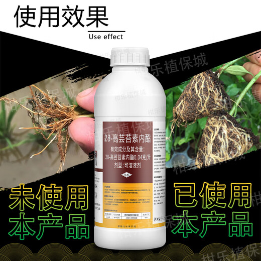 Bangsec 0.04g/L 28-high brassinolide rooting and seedling strengthening, quality improvement, flowering and fruit stabilization plant growth regulator 1000ml