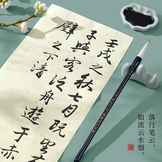 Liupintang brush calligraphy starter set for beginners, four treasures of the study, beginners, adults, brush calligraphy copybook, calligraphy practice paper, water writing cloth, primary school students, children's pen, ink, paper and inkstone, 19-piece set, high cost performance, large storage box