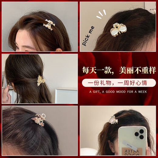 Dingjing Mini Hairpin Hairpin Headwear Women's High-end Hair Accessories Gift Box Girls Practical Niche Gifts for Girlfriends