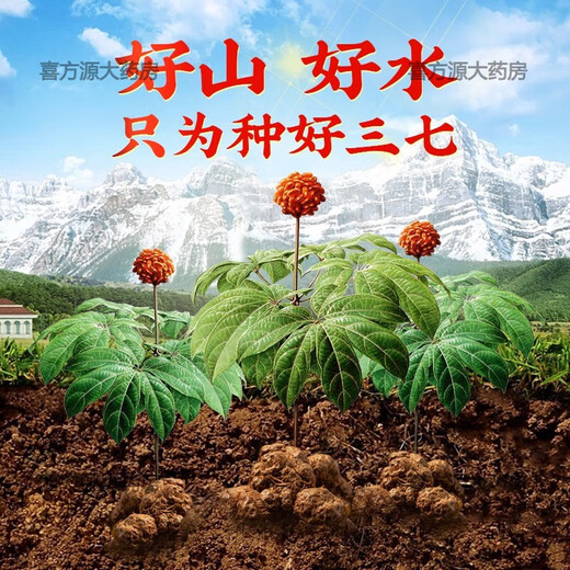 北京同仁堂品质云南文山三七粉18足头特纯三七粉超细粉田七粉250g/罐2罐500g 四罐共1000g送礼品袋