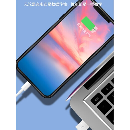 魅族（MEIZU）5V2A充电头手机充电器头40W快充适用于华为oppo小米魅族安卓通用USB插头1A小功率适用蓝牙耳机老人 2A双口【黑色】