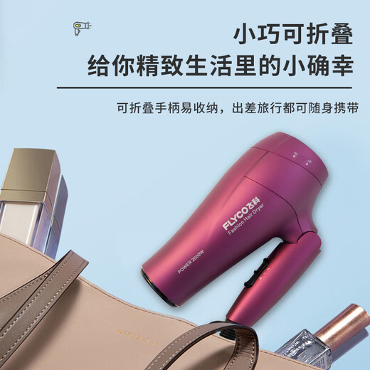 飞科电吹风机家用负离子护发大功率可折叠学生宿舍电吹风筒FH6618 FH6231【2000W家用恒温护发款+可折叠】