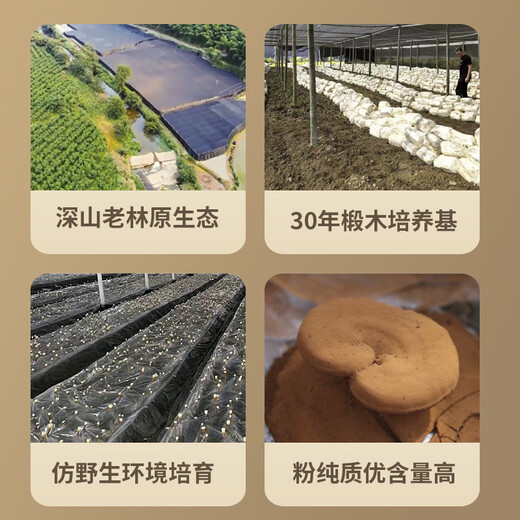 却老斋牌 破壁灵芝孢子粉片剂0.5g80片增强免疫力高多糖2.6%营养保健品 片剂80片*18盒【半年量】