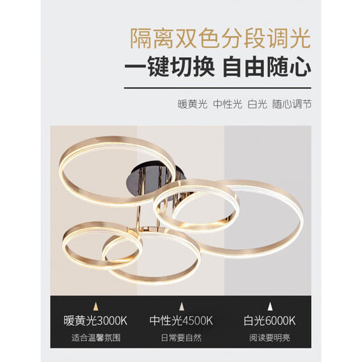 实体店极朔系列圆圈客厅餐厅卧室吸顶灯线下12188 五圈90瓦直径99cm三色