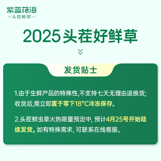 紫蓝花海新鲜冬虫夏草头茬鲜虫草自用送礼佳品礼盒装 1.1-1.2克/根 100根