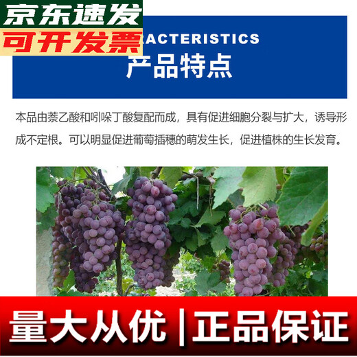 Indole naphthalene acetic acid 5% indole butyric acid fruit tree flower transplanting cuttings strong root root root strengthening liquid powder 100g