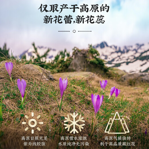藏红花伊朗特级正宗长丝藏红花女性泡水喝养生红花茶中药材送妈妈 【金罐装1克】精选长丝藏红花