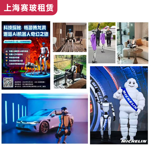 Yushu Saibo National Rental Yushu Unitree Robot Rental Dancing Intelligent Roboter (EDU Version) Einzahlung