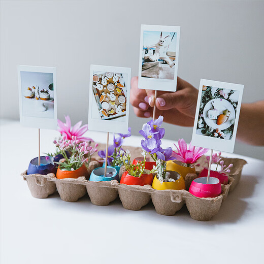 Fuji (FUJIFILM) genuine mini three-inch photo paper mini SE/12/41/99/liplay/evo/link3/7+/7sc/9/11/25/90 instant camera printer photo paper white border (20 sheets) + vitality UP photo album + photo album * 2 + border sticker * 2