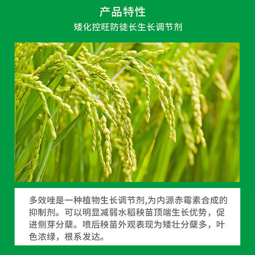 Guoguang 15% paclobutrazol control leggy growth control dwarf succulent rice chlormequat control plant growth regulator 500g