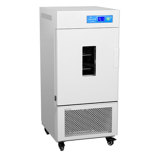 XMSJ Biochemische Form Inkubator Labor Elektrische Heizung Konstante Temperatur- und Feuchtigkeitstestbeleuchtung künstlicher Klimasamenkeimungs elektrischer Heizung Konstante Temperatur Inkubator DHP-9272B270L