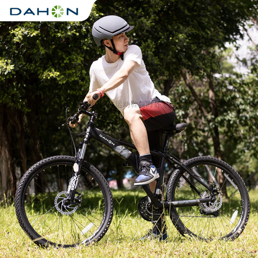 Dahang (Dahon) 26-Zoll