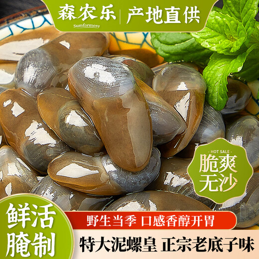 Sennongle Snail Emperor Yellow Snail Instant Canned Drunken Snail Fresh Extra Large Raw Pickled Wild Sand-Free Ningbo Zhoushan Specialty Large Particles Zhoushan Authentic Original Flavor 300g Net Weight