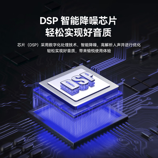 Philips CSS1460 portable wireless microphone handheld microphone outdoor audio karaoke sound card live broadcast home singing universal microphone home ktv conference speaker charging U segment bel canto karaoke microphone 2 pieces (for use with audio/sound card)