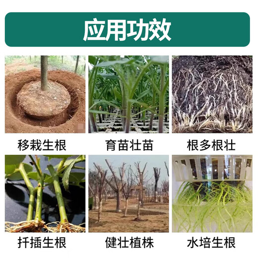 Guoguang Genpan 5% indolinacetic acid tree bonsai flower seedling cutting rooting liquid universal pesticide growth regulator