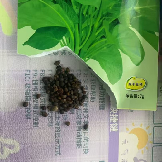 Large-leaf three-pronged high-yielding water spinach seeds in field farmyards, four-season green cabbage seeds, vegetable seeds, larvae seeds, A water spinach seeds 1 pack