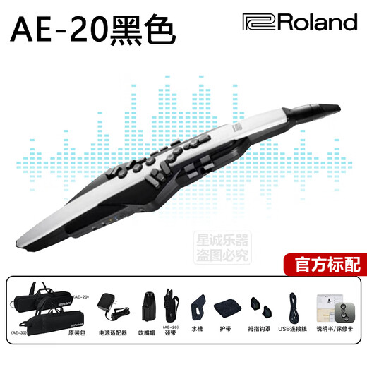 Roland Roland Roland Electric Blower Instrumt