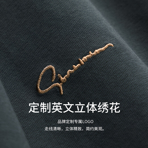 杉杉（FIRS）抗菌凉感刺绣圆领短袖T恤男2025夏季新款索罗娜冰丝半袖527 石墨灰 L 175/92A