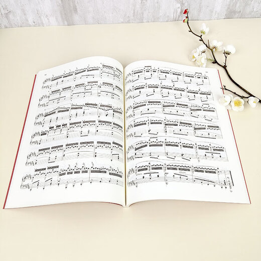 Versión oficial genuina de Cheerny Piano Etudes 50 piezas, hábiles ejercicios técnicos con dedos 740 (699) Versión clásica de los libros de texto de mediano y avanzado, tutorial de puntaje de libros rojos Etudes Libros People's Music Publishing House
