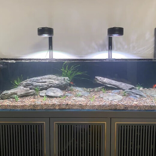 Pure natural stream stone fish tank landscaping stone flakes turtle basking back schist rockery terrace landscaping stone customized 5-10cm schist size matching