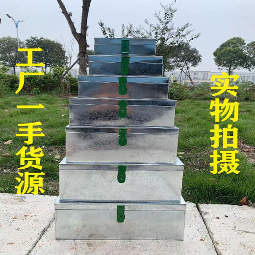 Vinoa Caja de Herramientas de Hierro Grande Caja para Llevar de Chapa galvanizada con Cerradura Caja de Almacenamiento para Guardar carpintería Caja de Hierro portátil No. 1 Caja de Almacenamiento Caja de Lata + Cerradura