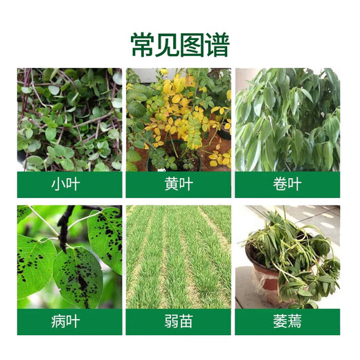 Dihuayan spray green medium element water-soluble fertilizer for fruit trees, vegetables and flowers chlorophyll trace element foliar fertilizer for general spraying
