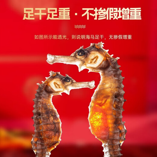 Peking Tongrentang ausgewählte authentische Seepferdchen-Trockenwaren, ein Paar Wein mit Wein ausgewählt, Suppenzutaten, Seepferdchen-Trockenwaren, frisch getrocknet, um Nicht-Kidney-Nahrungsergänzungsmittel zu nähren, zehn Packungen [natürlicher luftgetrockneter Seahorse) Qualität (männliche und weibliche Kombination Ernährung Doppel)