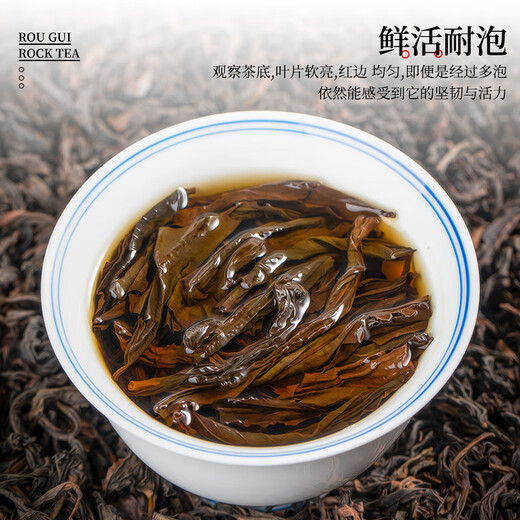 首宴大红袍肉桂两大岩茶组合罐装茶叶乌龙茶正宗武夷岩茶浓香型500g