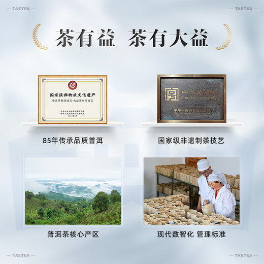 大益TAETEA普洱茶熟茶 金针白莲蛇年特别版 250g/砖 商务送礼