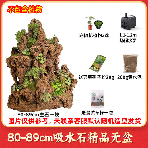 High-quality water-absorbing stone bonsai fish pond rockery micro-landscape decoration natural rockery stone landscaping raw stone high-quality 80-89cm water-absorbing stone without basin