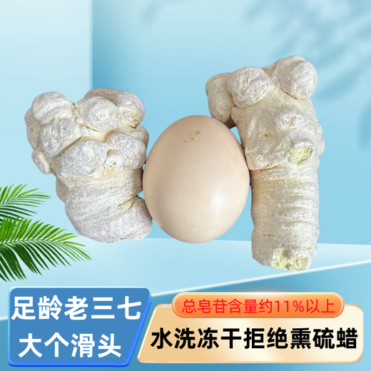 Panax notoginseng Yunnan Wenshan Panax Notoginseng Sélection du printemps Panax NotoginSeng 15 têtes 37 Ten Tian 500G Tianqi Powder Yunnan Panax Notoginseng 10 ans
